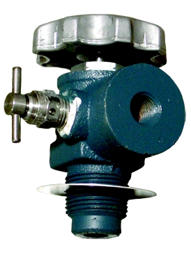 Combination Valve for Bulk Storage Containers